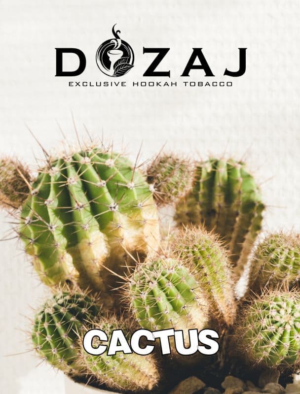CACTUS