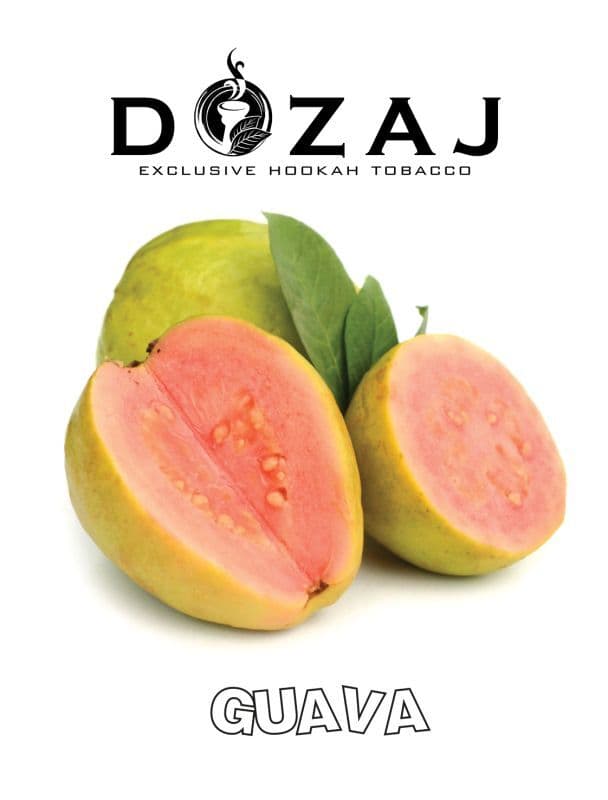 GUAVA