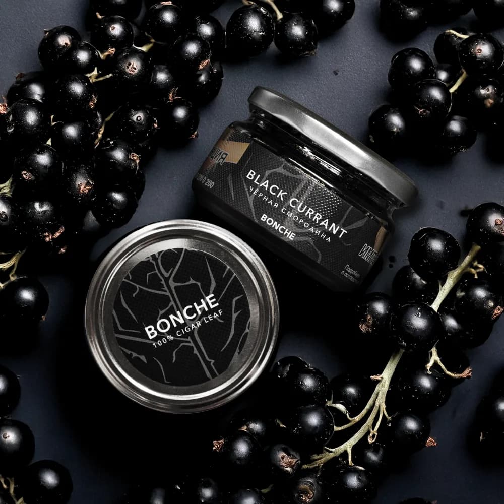 Black Currant