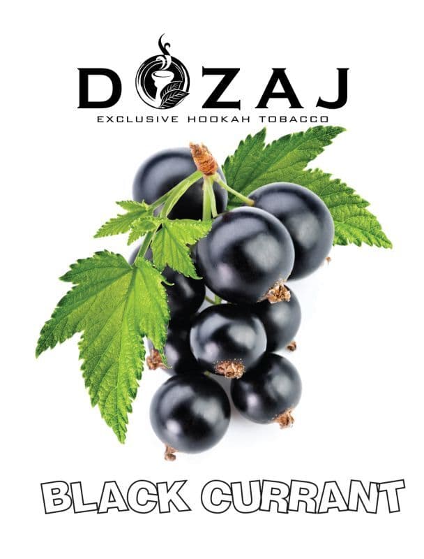 BLACK CURRANT