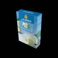 Jasmine