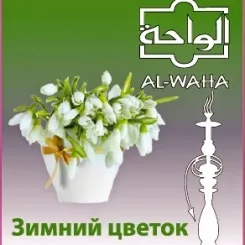AL-WAHA Winter Flower フローラル系シーシャフレーバー パッケージ画像