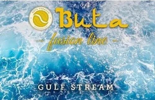 Gulf stream