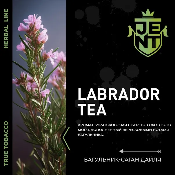 JENT Labrador tea tea系シーシャフレーバー パッケージ画像