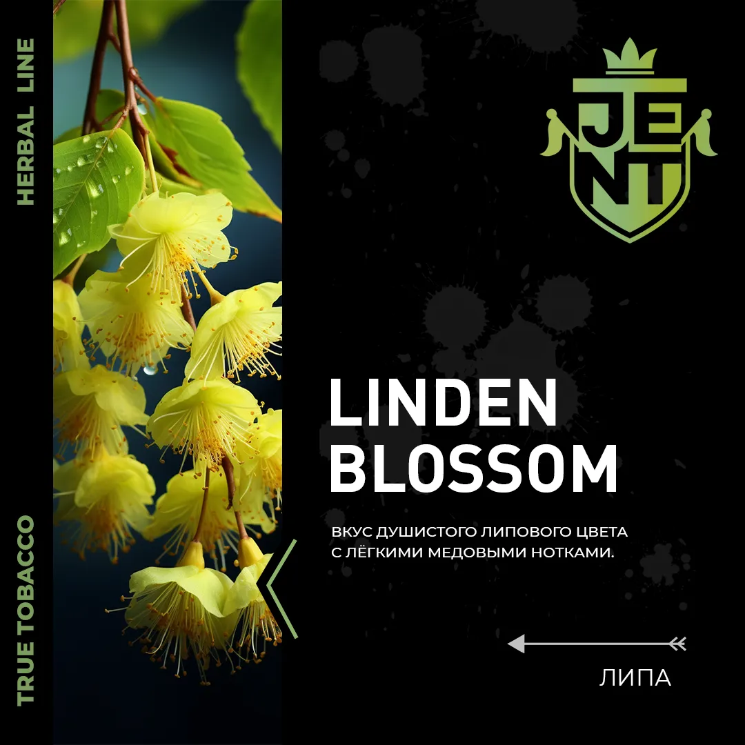 JENT Linden Blossom フローラル系シーシャフレーバー パッケージ画像