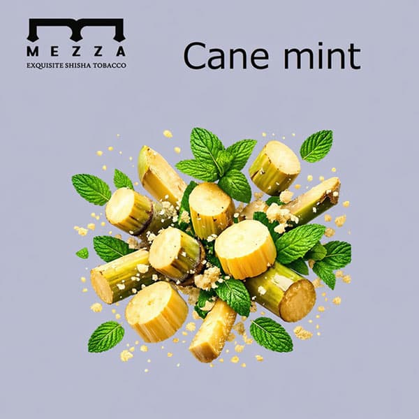 Cane mint