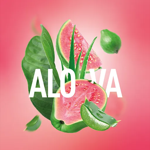 Alova