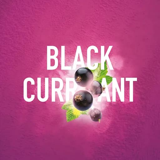 Black Currant